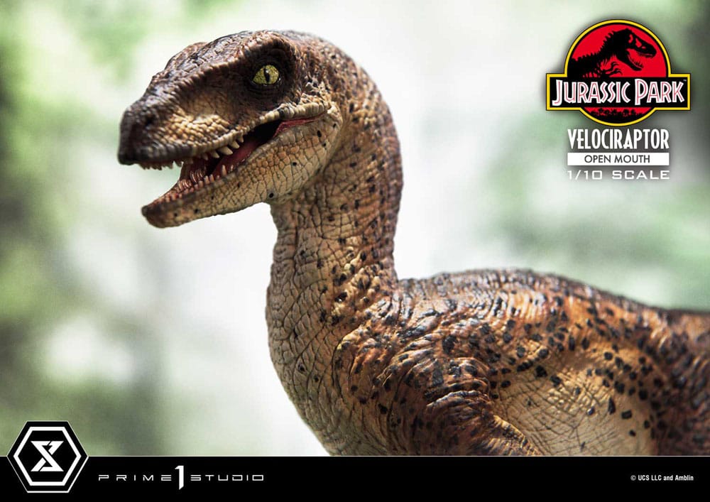 Jurassic Park Prime Collectibles Statue 1/10 Velociraptor Open Mouth 19 cm Image 3