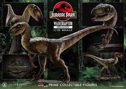 Jurassic Park Prime Collectibles Statue 1/10 Velociraptor Open Mouth 19 cm Image 4