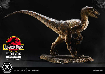 Jurassic Park Prime Collectibles Statue 1/10 Velociraptor Open Mouth 19 cm Image 8