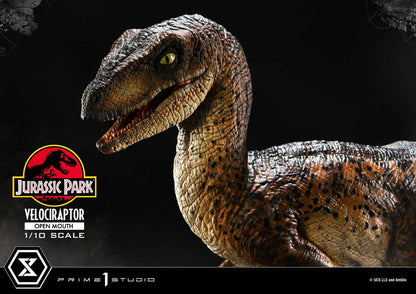 Jurassic Park Prime Collectibles Statue 1/10 Velociraptor Open Mouth 19 cm Image 9