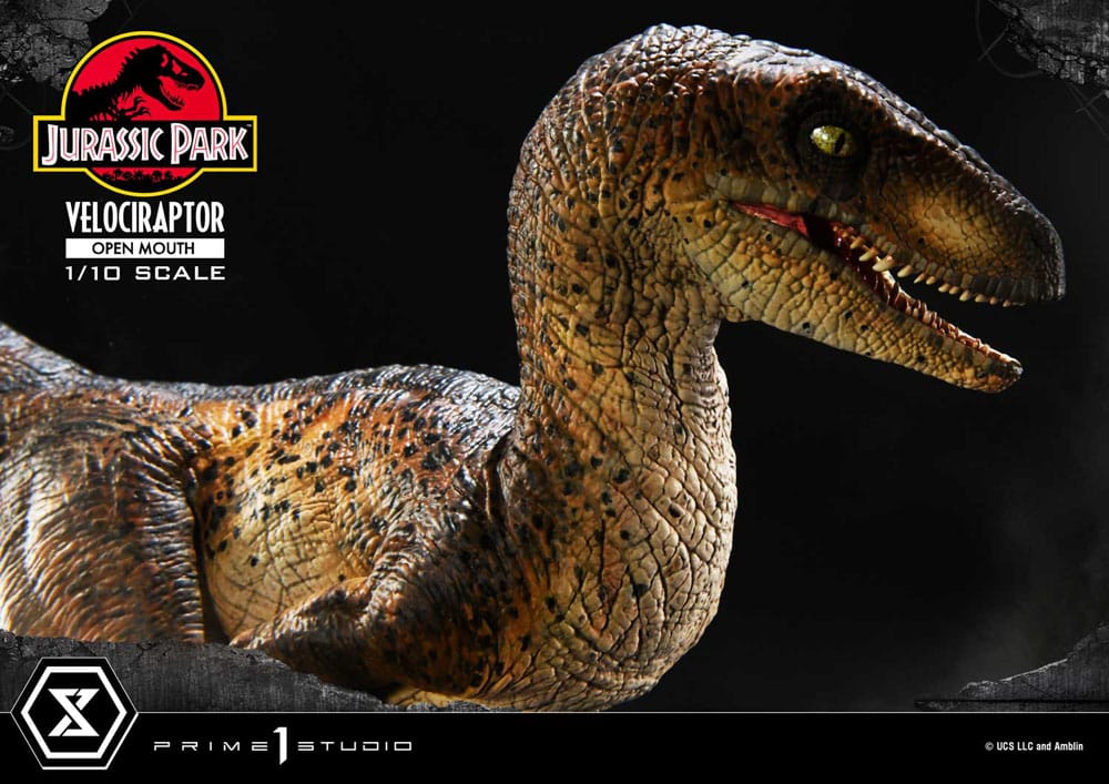 Jurassic Park Prime Collectibles Statue 1/10 Velociraptor Open Mouth 19 cm Image 10