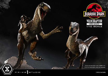 Jurassic Park Prime Collectibles Statue 1/10 Velociraptor Open Mouth 19 cm Image 15