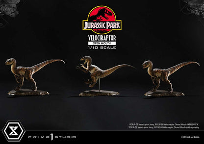Jurassic Park Prime Collectibles Statue 1/10 Velociraptor Open Mouth 19 cm Image 16