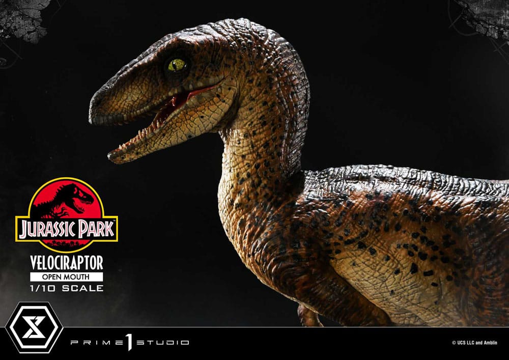 Jurassic Park Prime Collectibles Statue 1/10 Velociraptor Open Mouth 19 cm Image 18