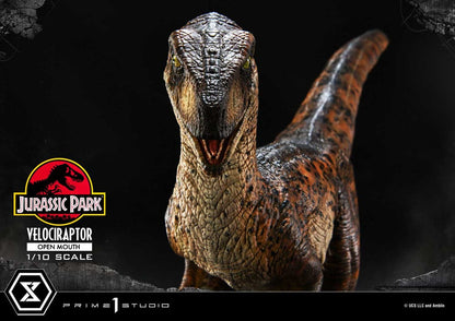 Jurassic Park Prime Collectibles Statue 1/10 Velociraptor Open Mouth 19 cm Image 19
