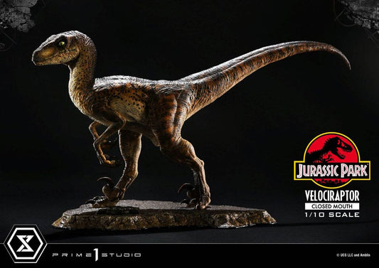 Jurassic Park Prime Collectibles Statue 1/10 Velociraptor Closed Mouth 19 cm Image 1