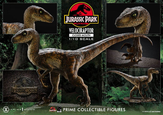 Jurassic Park Prime Collectibles Statue 1/10 Velociraptor Closed Mouth 19 cm Image 2