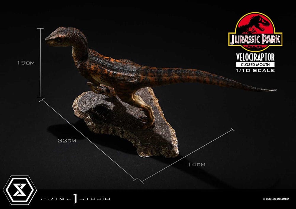Jurassic Park Prime Collectibles Statue 1/10 Velociraptor Closed Mouth 19 cm Image 3