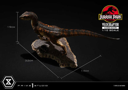 Jurassic Park Prime Collectibles Statue 1/10 Velociraptor Closed Mouth 19 cm Image 3