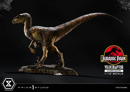 Jurassic Park Prime Collectibles Statue 1/10 Velociraptor Closed Mouth 19 cm Image 4