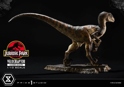 Jurassic Park Prime Collectibles Statue 1/10 Velociraptor Closed Mouth 19 cm Image 6