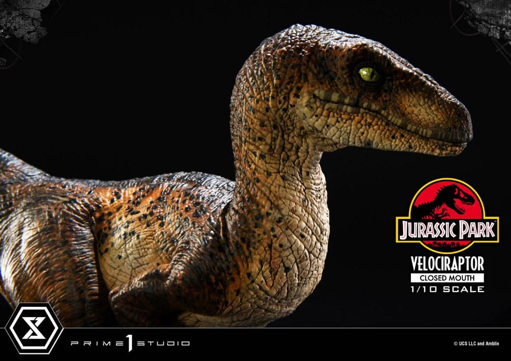 Jurassic Park Prime Collectibles Statue 1/10 Velociraptor Closed Mouth 19 cm Image 7