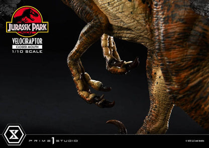 Jurassic Park Prime Collectibles Statue 1/10 Velociraptor Closed Mouth 19 cm Image 9