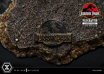 Jurassic Park Prime Collectibles Statue 1/10 Velociraptor Closed Mouth 19 cm Image 10