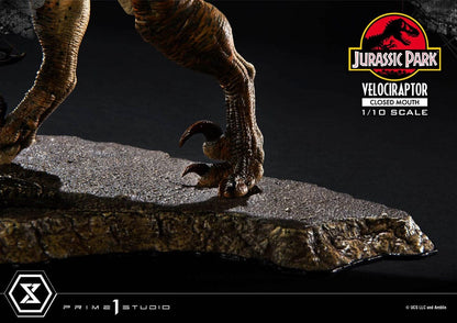Jurassic Park Prime Collectibles Statue 1/10 Velociraptor Closed Mouth 19 cm Image 11