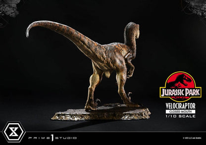 Jurassic Park Prime Collectibles Statue 1/10 Velociraptor Closed Mouth 19 cm Image 12