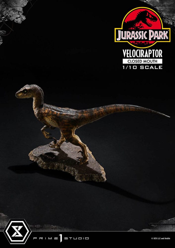 Jurassic Park Prime Collectibles Statue 1/10 Velociraptor Closed Mouth 19 cm Image 13