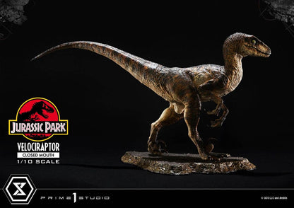 Jurassic Park Prime Collectibles Statue 1/10 Velociraptor Closed Mouth 19 cm Image 14