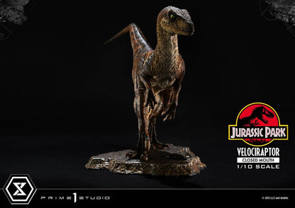 Jurassic Park Prime Collectibles Statue 1/10 Velociraptor Closed Mouth 19 cm Image 15
