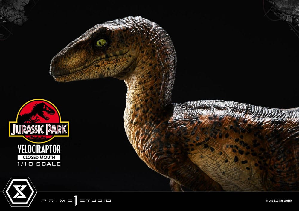 Jurassic Park Prime Collectibles Statue 1/10 Velociraptor Closed Mouth 19 cm Image 17