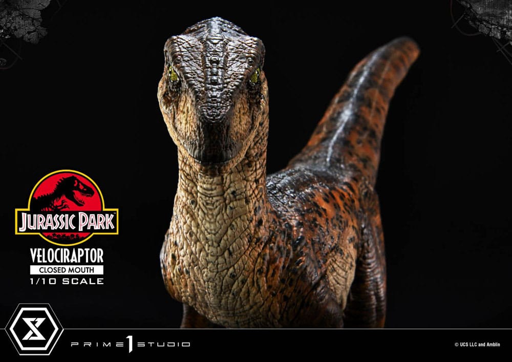 Jurassic Park Prime Collectibles Statue 1/10 Velociraptor Closed Mouth 19 cm Image 18