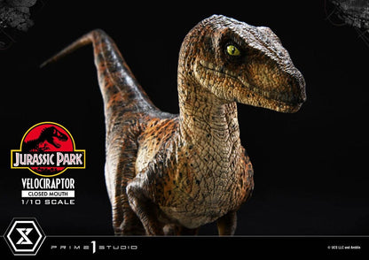 Jurassic Park Prime Collectibles Statue 1/10 Velociraptor Closed Mouth 19 cm Image 19