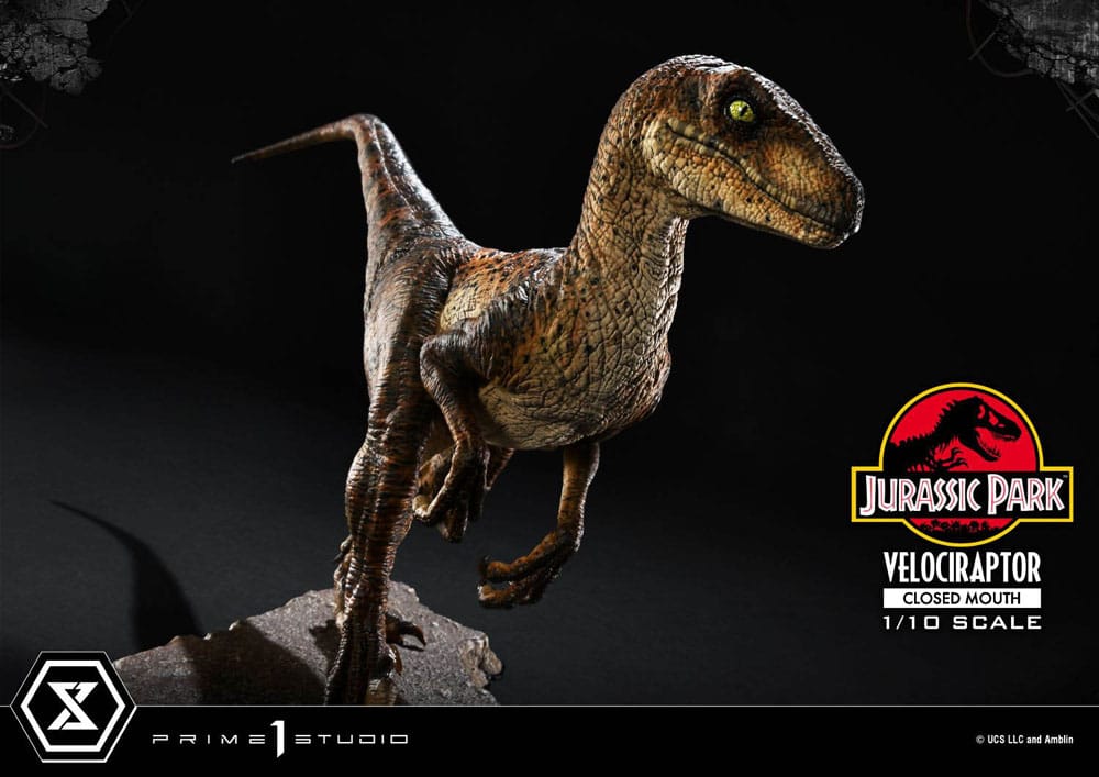 Jurassic Park Prime Collectibles Statue 1/10 Velociraptor Closed Mouth 19 cm Image 20