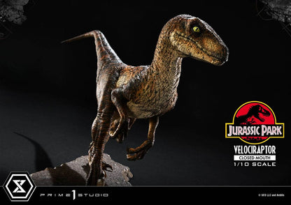 Jurassic Park Prime Collectibles Statue 1/10 Velociraptor Closed Mouth 19 cm Image 20