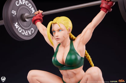 Street Fighter Premier Series Statue 1/4 Cammy: Powerlifting 41 cm Image 13