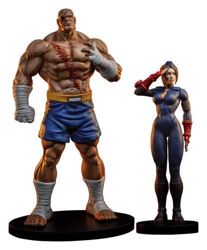 Street Fighter Street Jam Statuen 1/10 Sagat & Juli 24 cm Image 1