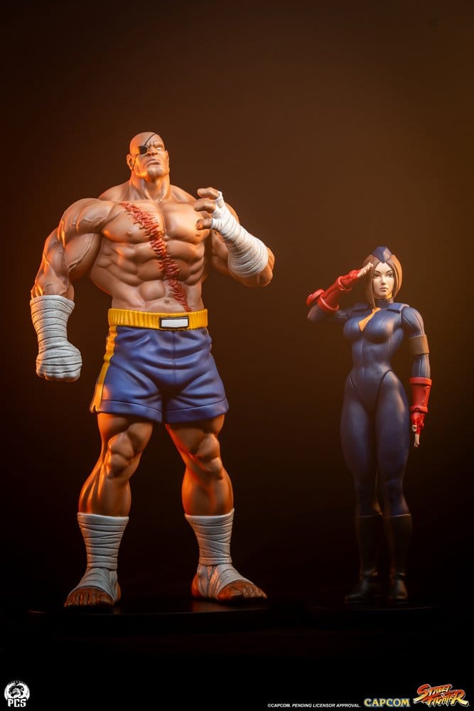Street Fighter Street Jam Statuen 1/10 Sagat & Juli 24 cm Image 2