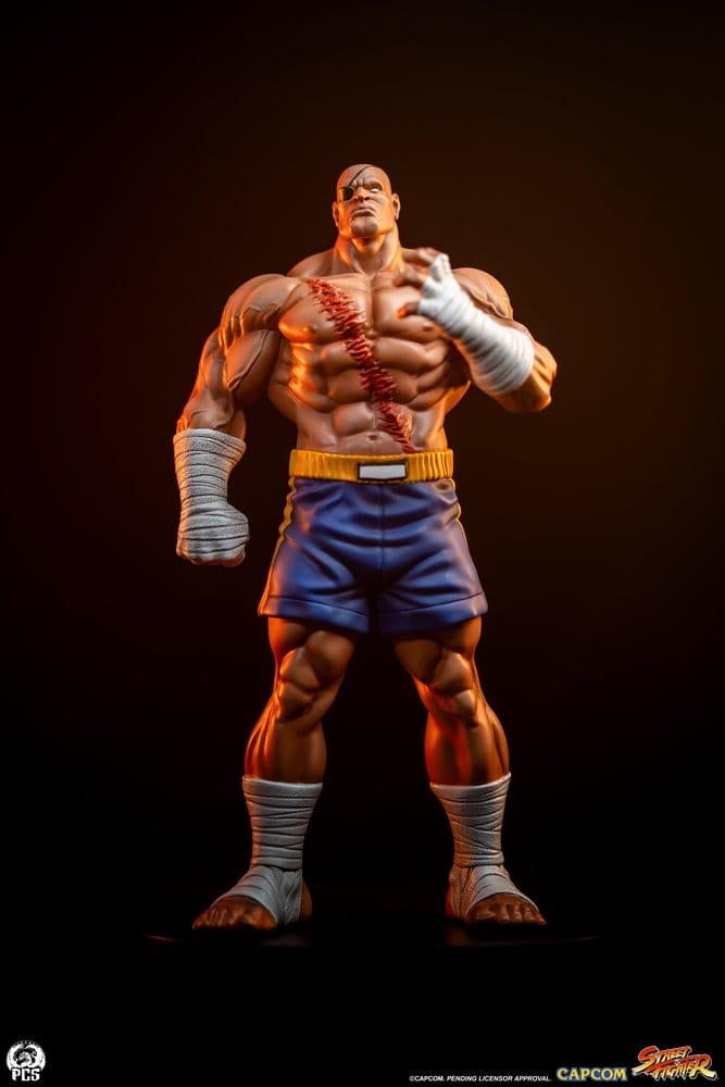 Street Fighter Street Jam Statuen 1/10 Sagat & Juli 24 cm Image 3