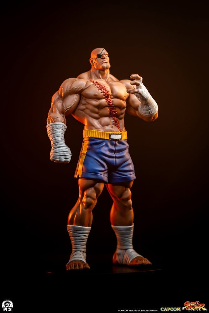 Street Fighter Street Jam Statuen 1/10 Sagat & Juli 24 cm Image 5