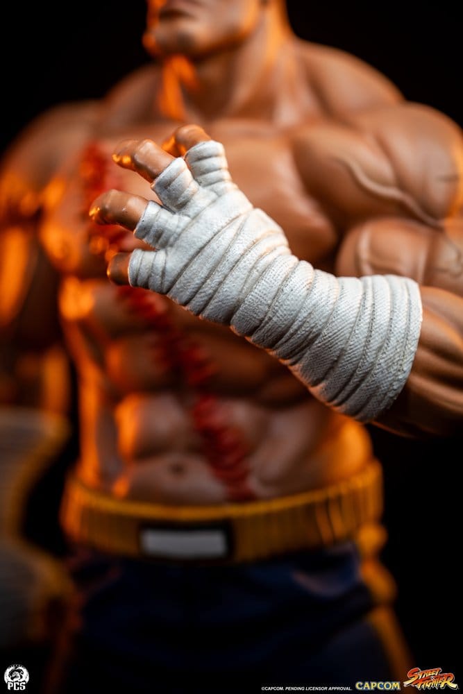 Street Fighter Street Jam Statuen 1/10 Sagat & Juli 24 cm Image 6