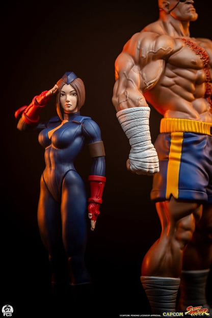Street Fighter Street Jam Statuen 1/10 Sagat & Juli 24 cm Image 7