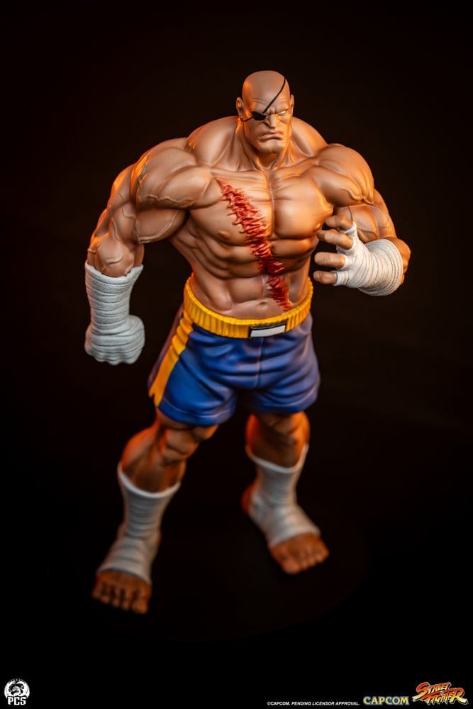 Street Fighter Street Jam Statuen 1/10 Sagat & Juli 24 cm Image 10