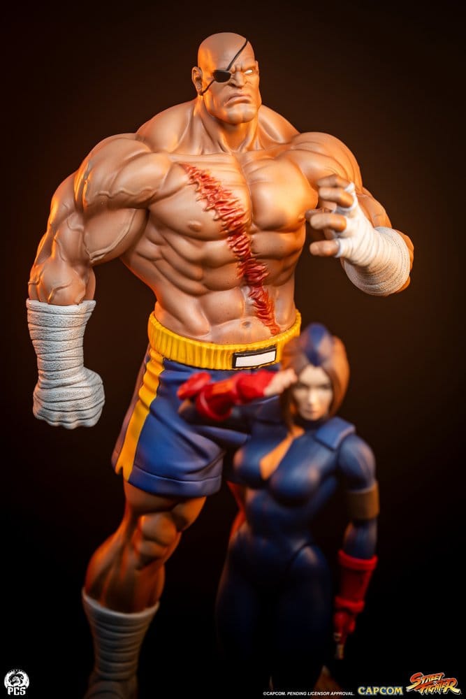 Street Fighter Street Jam Statuen 1/10 Sagat & Juli 24 cm Image 13