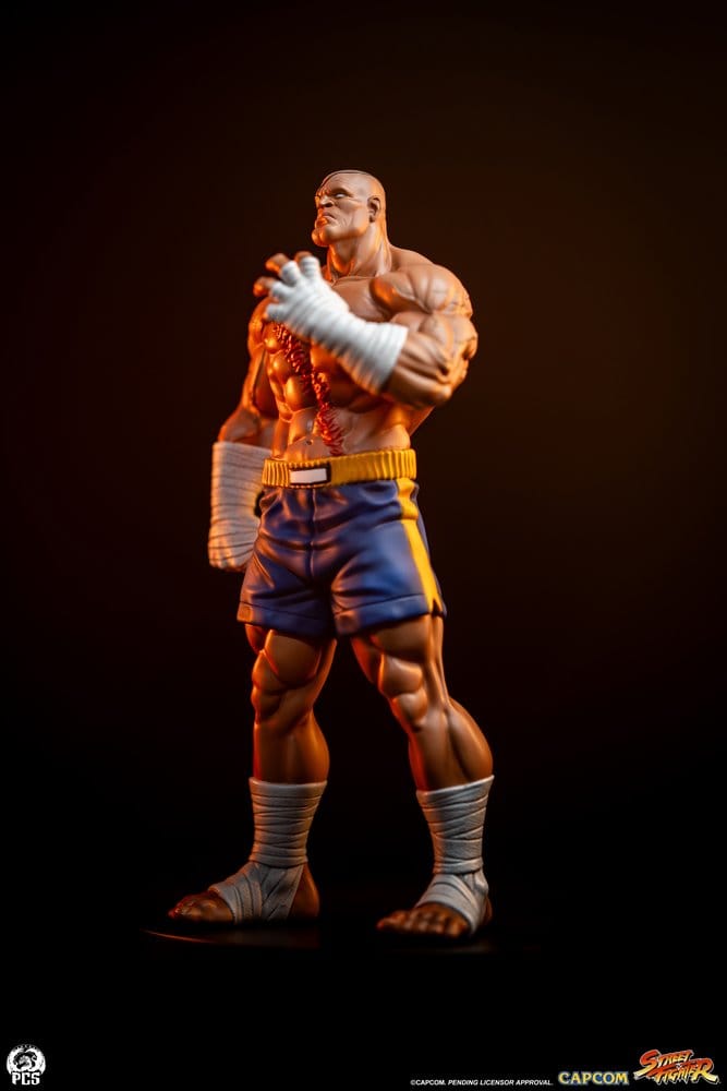 Street Fighter Street Jam Statuen 1/10 Sagat & Juli 24 cm Image 16