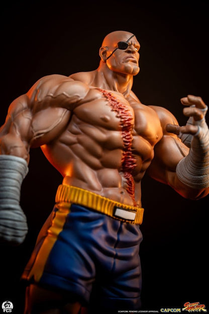 Street Fighter Street Jam Statuen 1/10 Sagat & Juli 24 cm Image 17