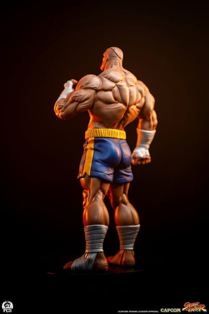 Street Fighter Street Jam Statuen 1/10 Sagat & Juli 24 cm Image 20