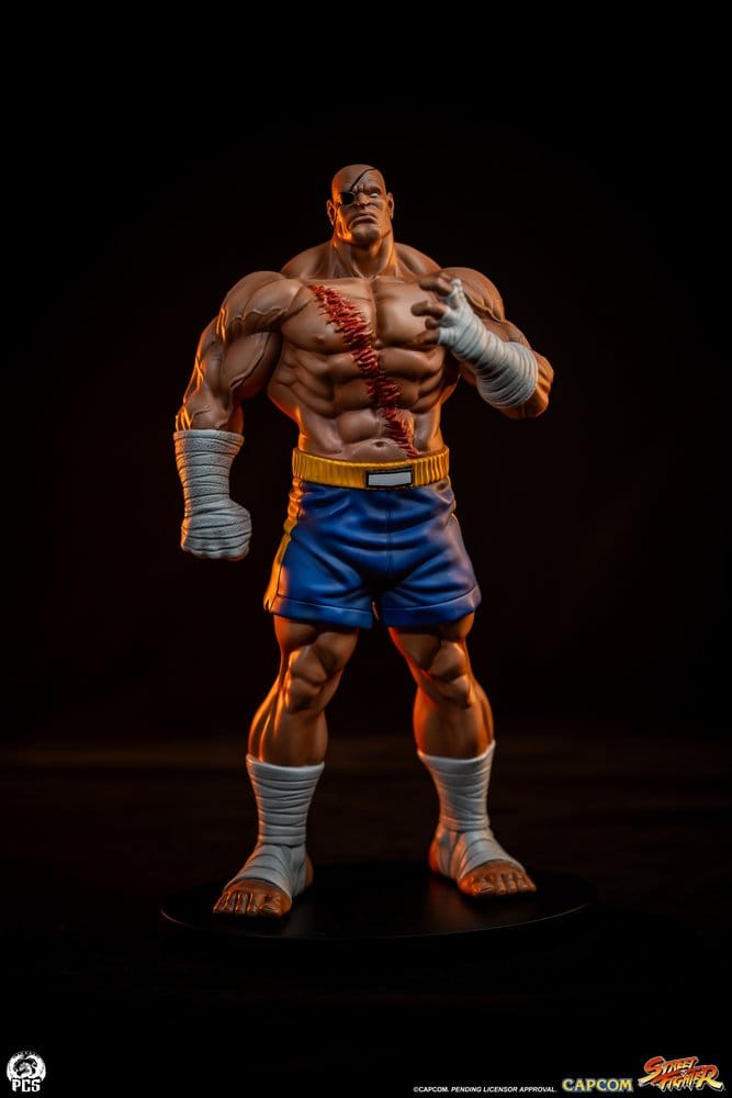 Street Fighter Street Jam Statuen 1/10 Sagat & Juli 24 cm Image 22
