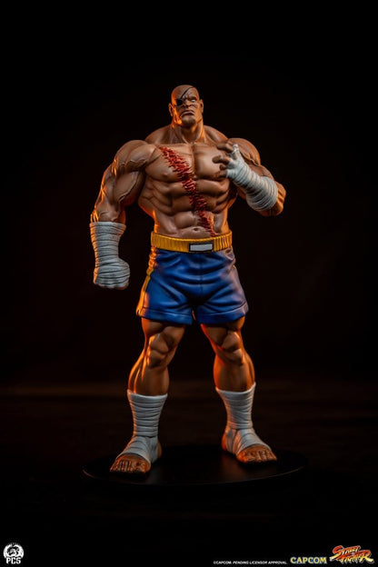 Street Fighter Street Jam Statuen 1/10 Sagat & Juli 24 cm Image 22
