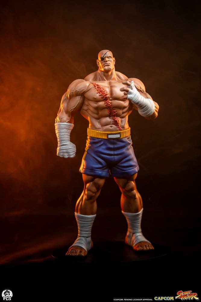 Street Fighter Street Jam Statuen 1/10 Sagat & Juli 24 cm Image 24