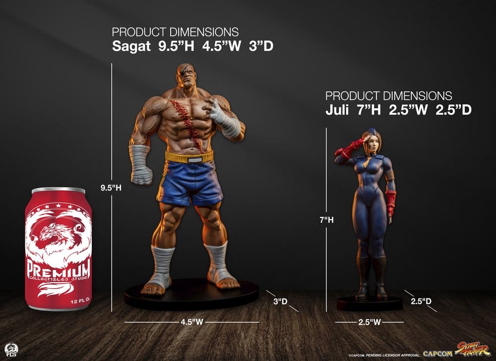 Street Fighter Street Jam Statuen 1/10 Sagat & Juli 24 cm Image 25