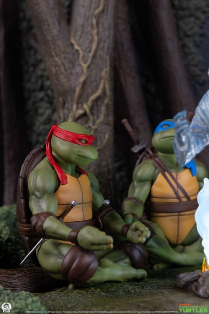 Teenage Mutant Ninja Turtles (Movie Moments) Mini Scale Diorama Splinter's Spirit 36 cm Image 5