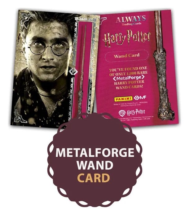 Harry Potter Premium Treasure Box Image 2