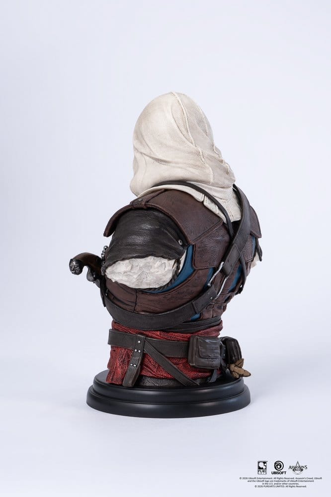Assassin´s Creed Büste 1/4 Edward Image 4