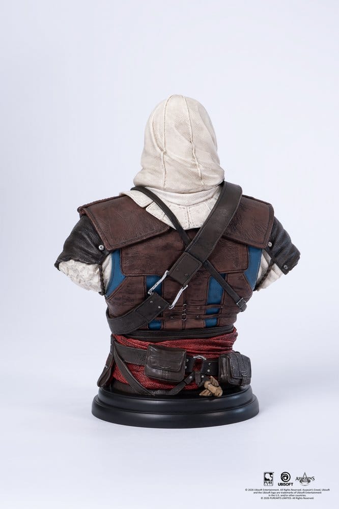 Assassin´s Creed Büste 1/4 Edward Image 5