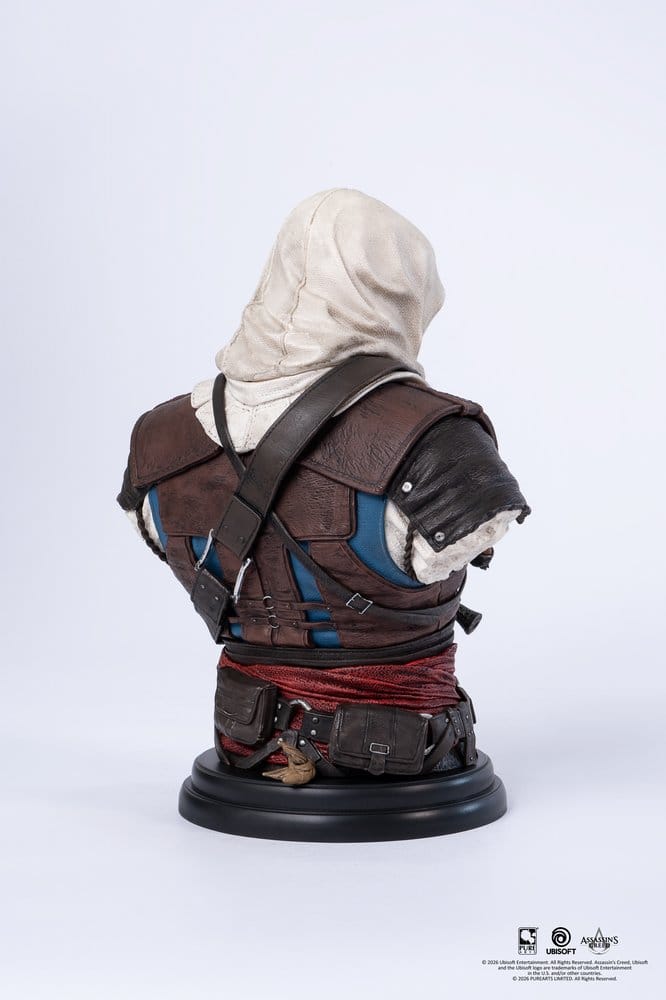 Assassin´s Creed Büste 1/4 Edward Image 6
