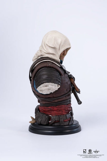 Assassin´s Creed Büste 1/4 Edward Image 7